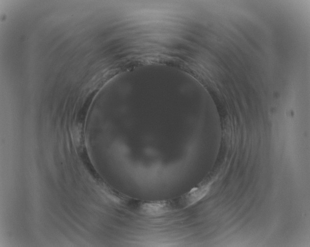 X0000076440139200610202319