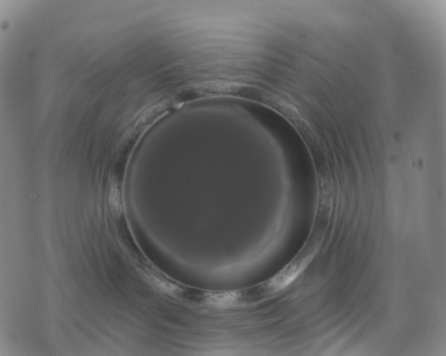 X0000076440143200610202319