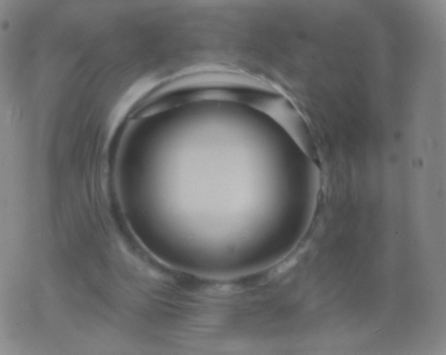 X0000076440152200610202318