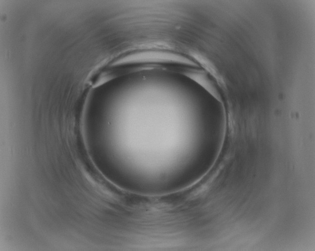 X0000076440201200610202318