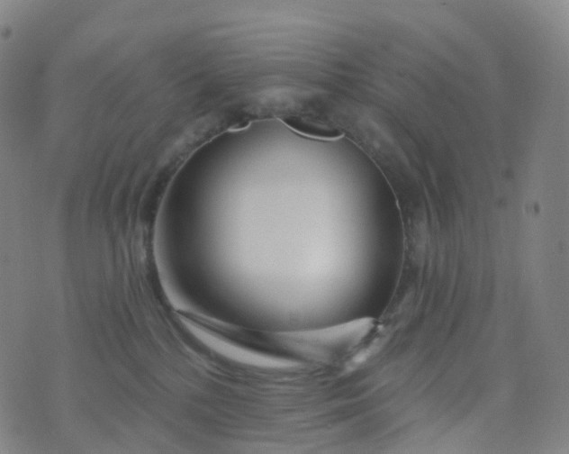 X0000076440232200610202318