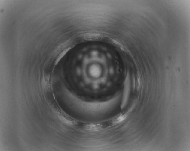 X0000076440239200610202317