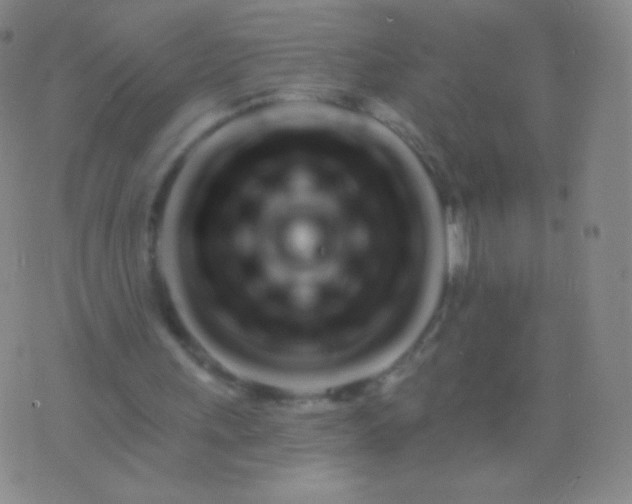 X0000076440243200610202317