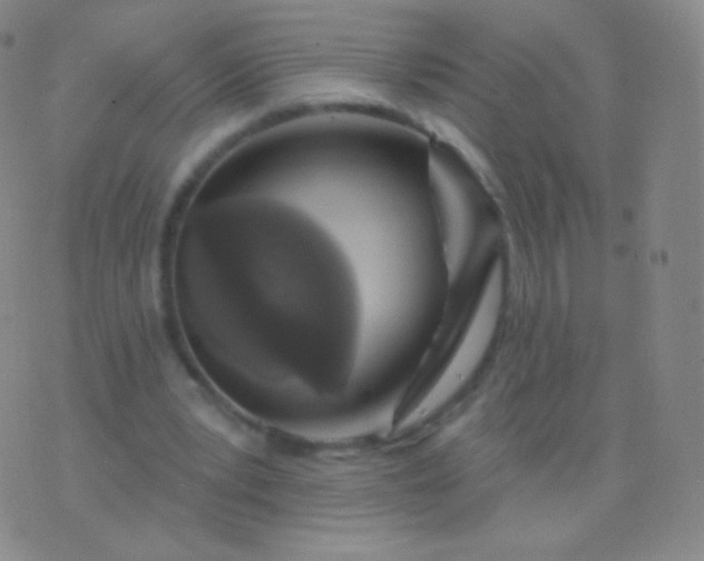 X0000076440391200610202315