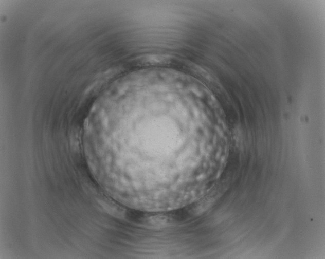 X0000076440423200610202314
