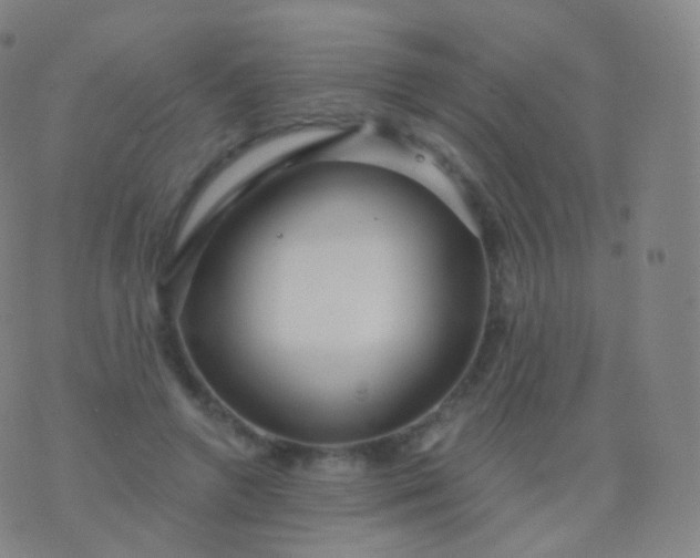 X0000076440546200610202312