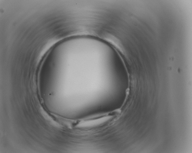 X0000076441468200610202257