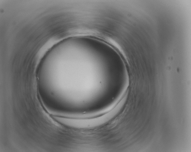 X0000076441472200610202257