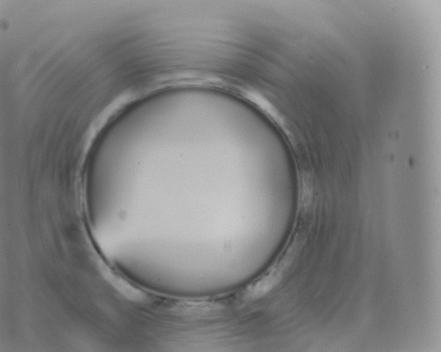 X0000076441474200610202257