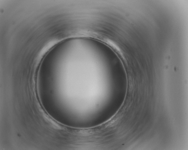 X0000076441480200610202257