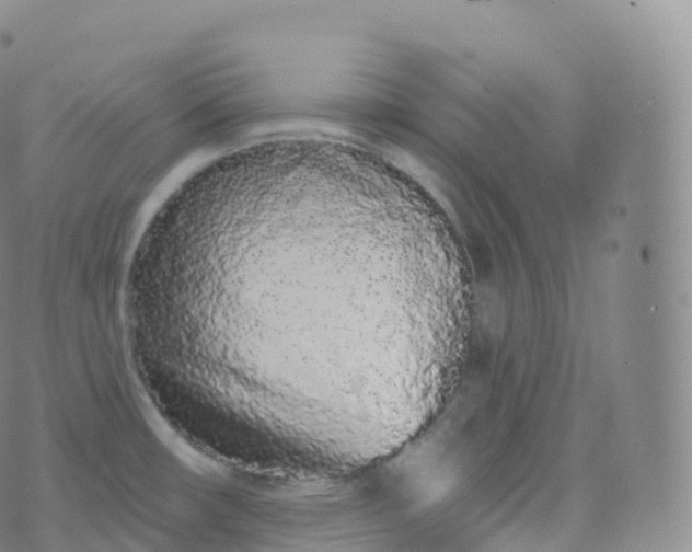 X0000076441482200610202257