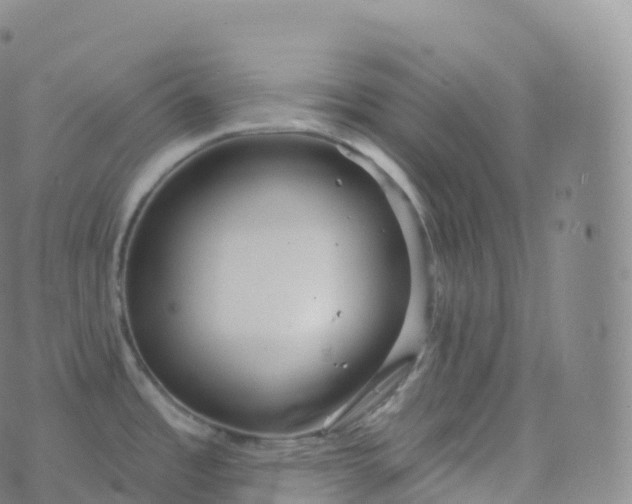 X0000076441485200610202257