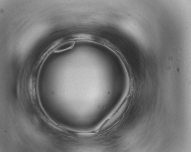 X0000076441487200610202257