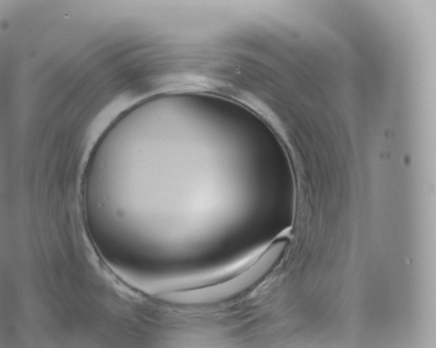 X0000076441488200610202257