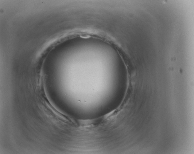 X0000076441496200610202257