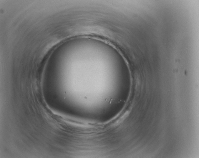 X0000076441497200610202257