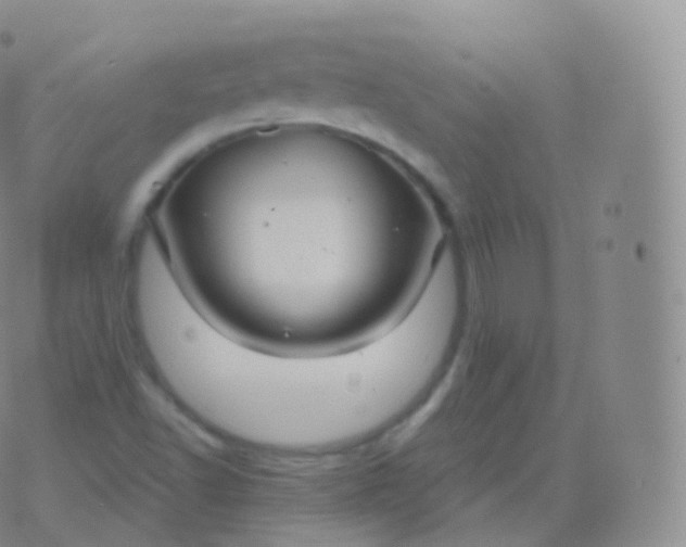 X0000076441502200610202257