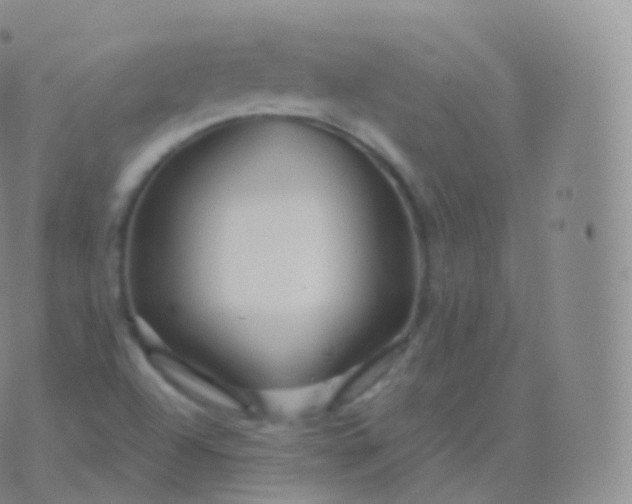 X0000076441504200610202257