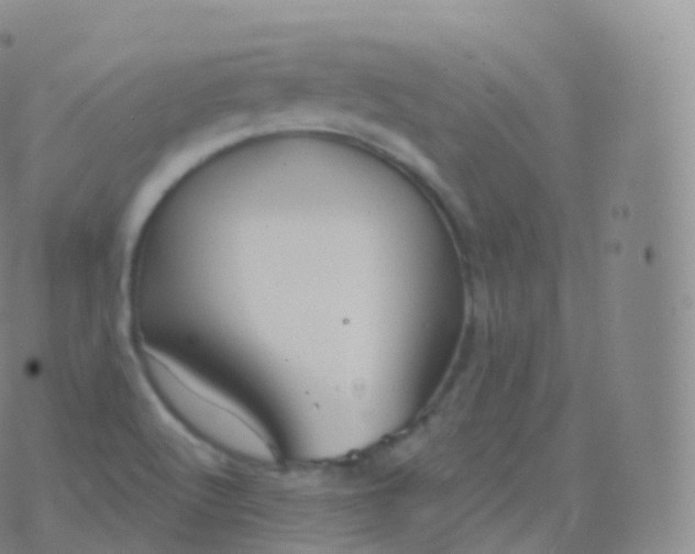 X0000076441512200610202257