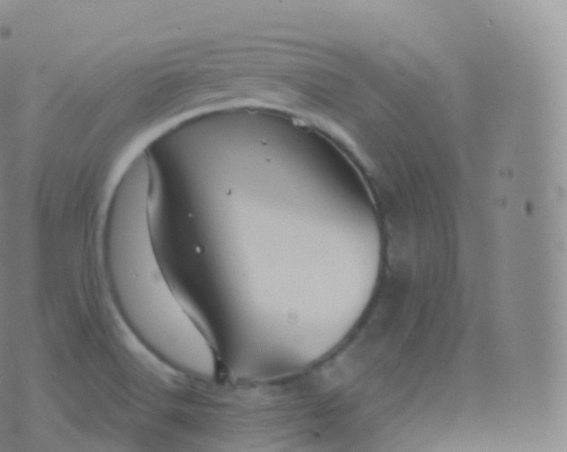 X0000076441516200610202257