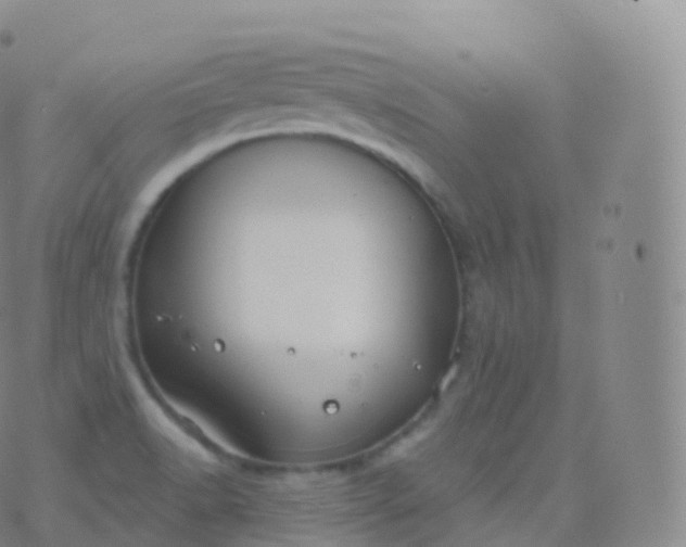 X0000076441518200610202257