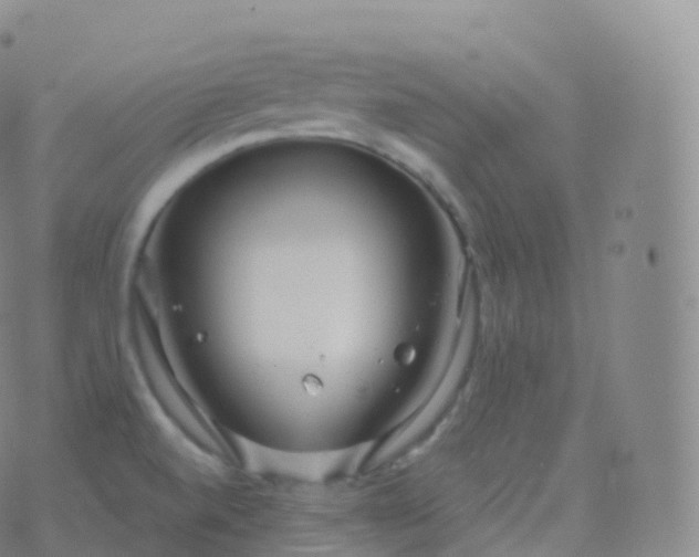 X0000076441520200610202257