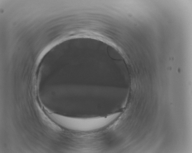 X0000076441522200610202257