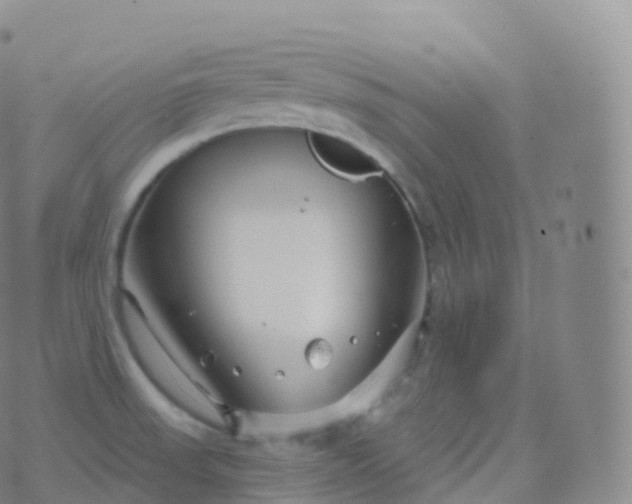 X0000076441523200610202257