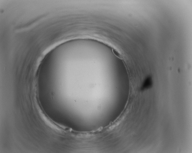 X0000076441526200610202257