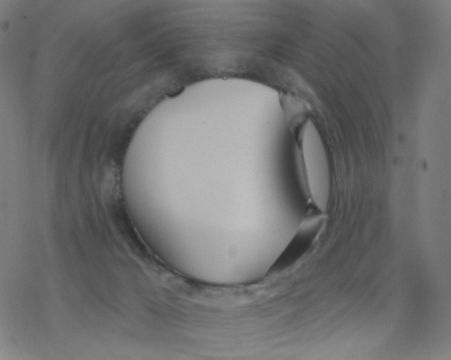 X0000076440029200610271810