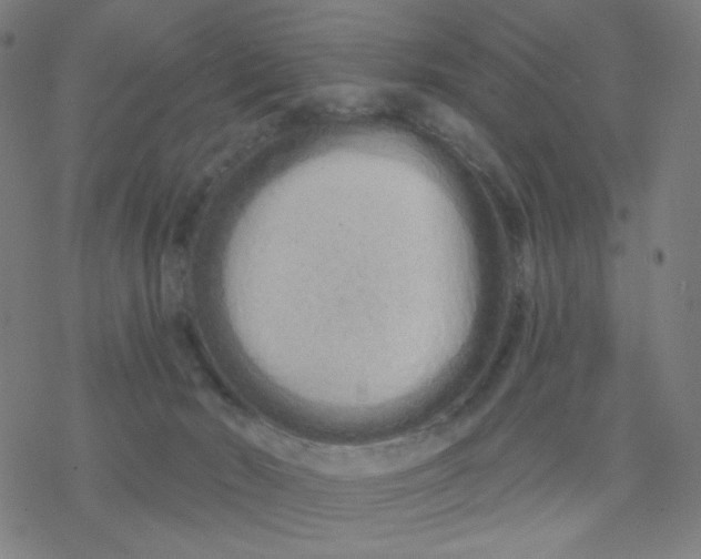 X0000076440030200610271810