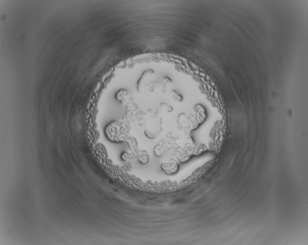 X0000076440032200610271810