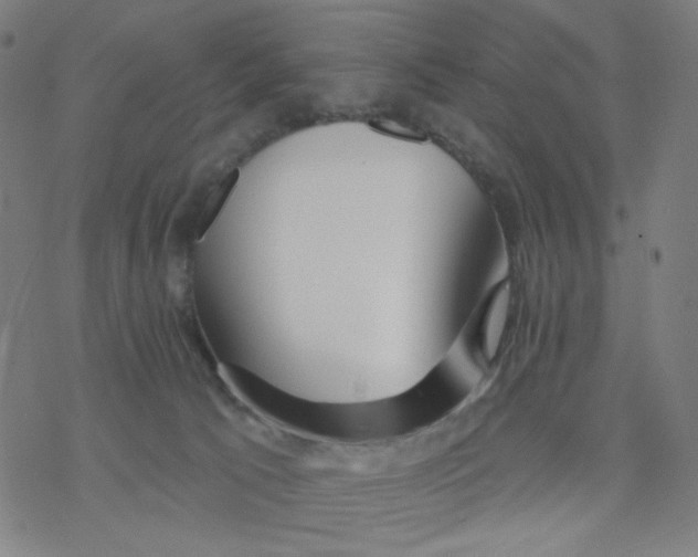X0000076440033200610271810