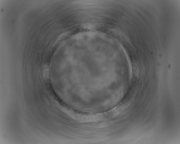 X0000076440036200610271810