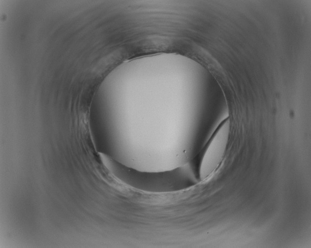X0000076440045200610271810