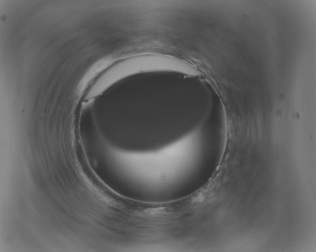 X0000076440054200610271809