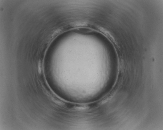 X0000076440069200610271809