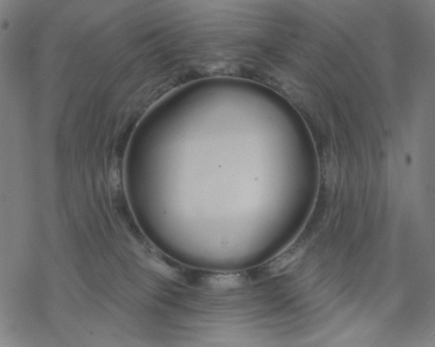 X0000076440085200610271809