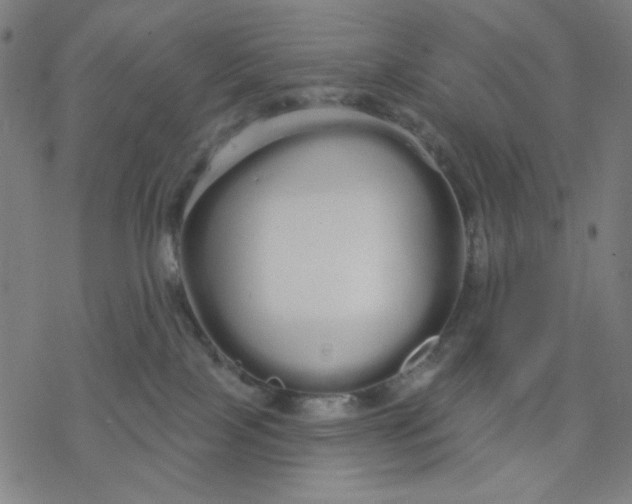 X0000076440089200610271809