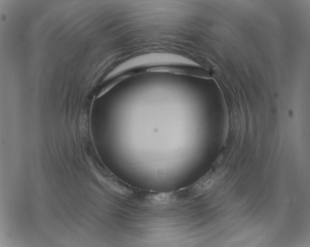 X0000076440092200610271810