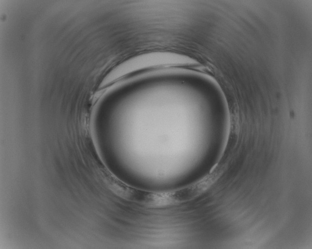 X0000076440093200610271810