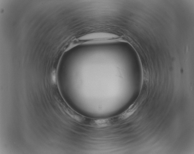 X0000076440095200610271810