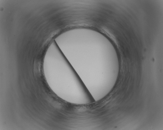 X0000076440115200610271808