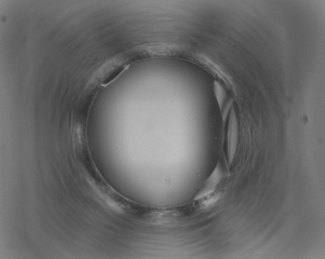X0000076440117200610271808