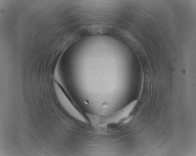 X0000076440125200610271808