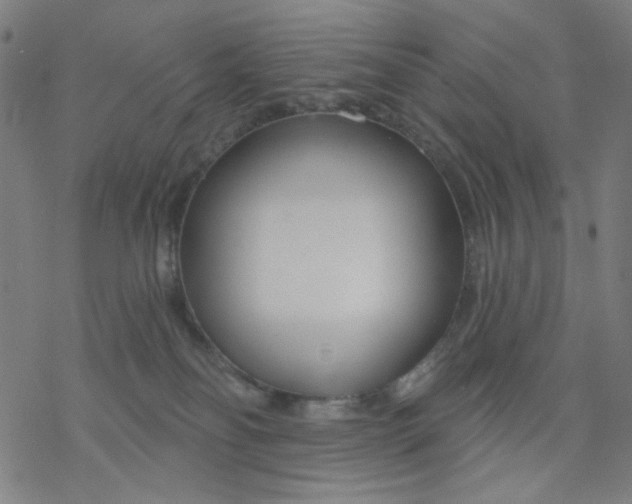 X0000076440134200610271808