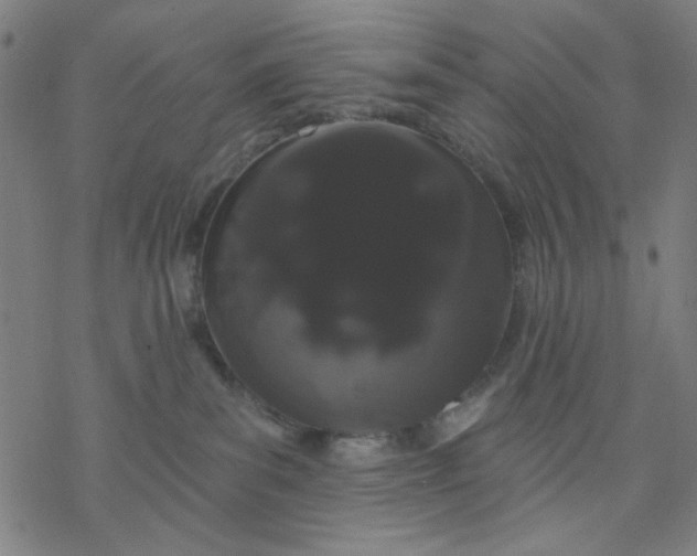 X0000076440139200610271808