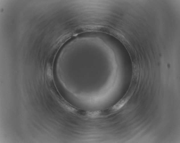 X0000076440143200610271808