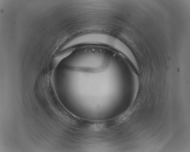 X0000076440168200610271808