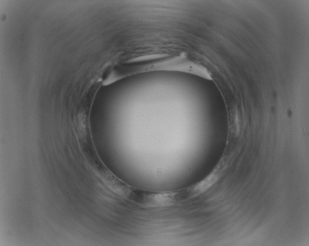 X0000076440184200610271808